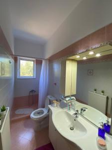 a bathroom with a sink and a toilet and a mirror at Rodia apartment in Kyparissia