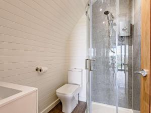 un bagno con wc e doccia in vetro di 2 Bed in Corwen 80318 a Gwyddelwern