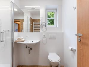 Koupelna v ubytování Apartment V kapradí-4 by Interhome