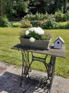 a table with a pot of flowers and a bird house at Chez Bertine Gîte rural 3 épis in Sivry +11 photos