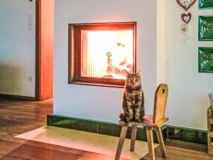 Un gato sentado en una silla en una habitación. en Villa Villa Techelsberg by Interhome, en Techelsberg am Worthersee