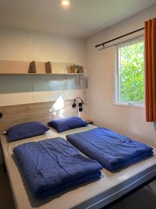 Waterenにある4p Lodge centrally located in National Park, Swimming pool 63のベッドルーム1室(青い枕のベッド2台付)