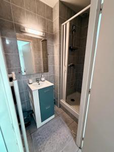 un bagno con lavandino e doccia di Petite Maison Cosy ad Auxonne