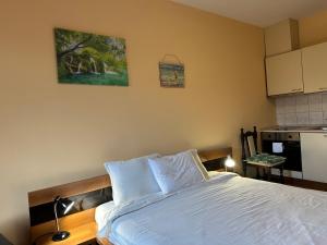 Η κουζίνα ή μικρή κουζίνα στο Studio in Hotel Flora Borovets