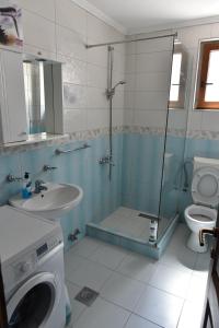 a bathroom with a shower and a sink and a toilet at Apartments Ravno in Plužine +77 photos