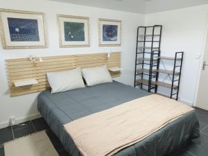 a bedroom with a bed and a ladder in it at Disney grand F2 dans maison terrasse privée in Bouleurs