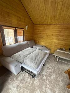 a couch in a room with a wooden wall at Bungalow am Hafen in Dierhagen