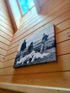 Fotografie z fotogalerie ubytování Domek w Zębie z jacuzii i sauną w cenie v destinaci Ząb