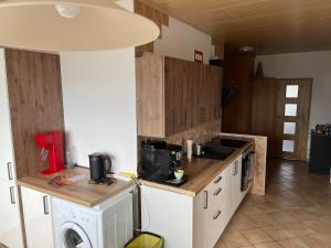 Kuchyň nebo kuchyňský kout v ubytování Apartman QUATTRO