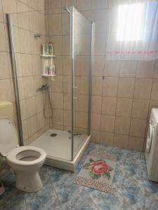 a bathroom with a shower and a toilet at Apartmani Greif in Gornji Karin +7 photos