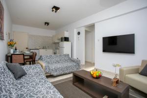 TV a/nebo společenská místnost v ubytování HORIZON-Amazing location, Sea&Nature View, 2BR,Large Balcony