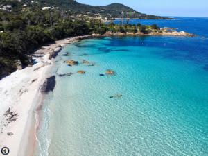 an aerial view of a beach in the ocean at REZ de VILLA Entre Mer et Maquis Appartement indépendant in Coti-Chiavari