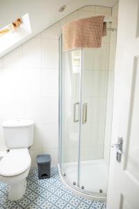 a bathroom with a shower and a toilet at An Garaiste in Rosscarbery +20 photos
