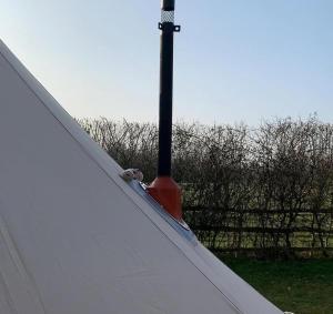 Billede fra billedgalleriet på Cozy Dog Friendly Hot Tent With Log Burner & Logs i Llanfairpwllgwyngyll