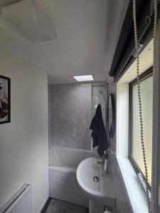 a bathroom with a sink and a shower and a window at Woodlands Retreat Holiday Home in Ballantrae +13 photos