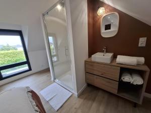 Un baño con lavabo y ducha con espejo. en Ty C&K Breizh, en Plerguer
