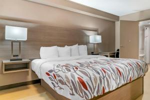 a bed in a hotel room with two lamps at Red Roof Inn Detroit-Rochester Hills/ Auburn Hills in Rochester Hills +22 photos