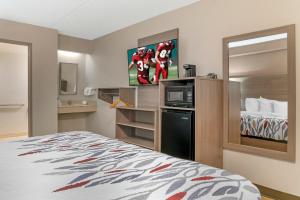 a small hotel room with a bed and a television at Red Roof Inn Detroit-Rochester Hills/ Auburn Hills in Rochester Hills