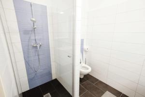 un bagno con wc e box doccia di TPE Arena - Zimmer am Ebersdorfer See a Obergrafendorf Altre 7 foto