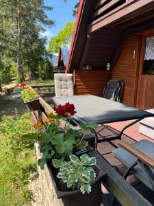 Zahrada ubytování Chata Olšovka