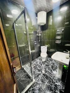 a bathroom with a shower and a toilet and a sink at Batumi seaside Magnolia in Batumi +45 photos