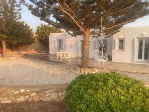 Zahrada ubytování Divers Cycladic House Paros