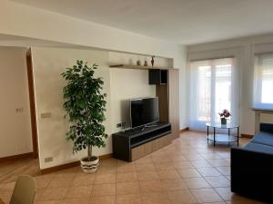 a living room with a tv and a potted plant at Appartamento Sirio in Asiago