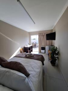 a bedroom with a large bed and a television at Addo River Den in Gqeberha