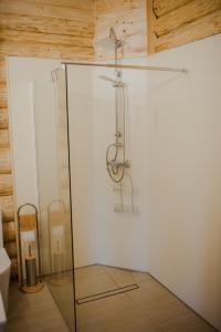 a glass enclosure with a shower in a room at Hawiry Nad Dylą in Głębockie Pierwsze