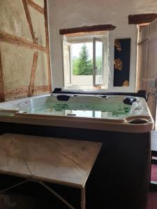 a bath tub in a room with a window at Domaine d'Alémanie in Ebersmunster +46 photos