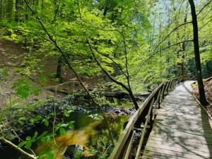 Paesaggio naturale nelle vicinanze della casa vacanze