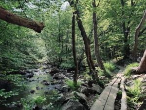 Paesaggio naturale nelle vicinanze della casa vacanze