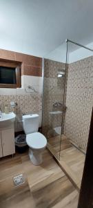 a bathroom with a toilet and a glass shower at Pensiunea Montan in Durau