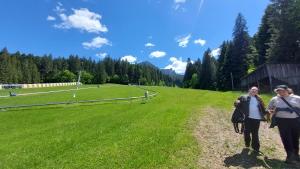 Ảnh trong thư viện ảnh của Pensiunea Montan ở Durau