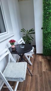 a black table and chairs on a patio with a plant at Stan na dan DUNJA 2 in Vršac