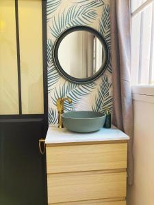 Un baño con un lavabo y un espejo sobre un mostrador. en Studio de Rêve à Versailles Plein Centre , 500m Château, 350m Gare Rive Gauche, en Versalles