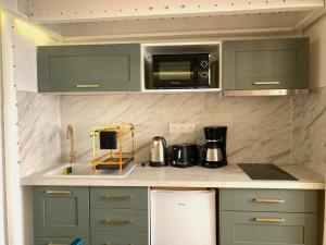 a kitchen with green cabinets and a microwave at Studio de Rêve à Versailles Plein Centre , 500m Château, 350m Gare Rive Gauche in Versailles