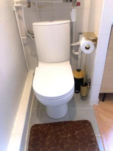 aseo blanco en un baño con alfombra en Studio de Rêve à Versailles Plein Centre , 500m Château, 350m Gare Rive Gauche, en Versalles