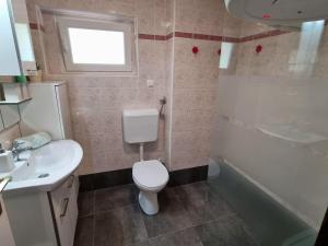 Koupelna v ubytování Apartment Deni