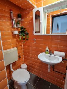 Koupelna v ubytování Apartment Deni