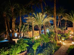 een afbeelding van een resort met palmbomen 's nachts bij Serenity Lodge Zagora Guest House And Desert Excursions in Zagora