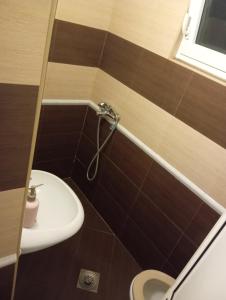 a bathroom with a toilet and a sink at Apartman aleksej in Kućišta