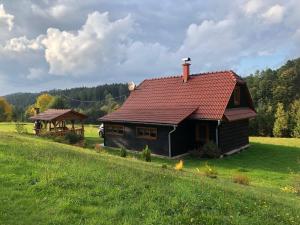a wooden house with a red roof in a field at Chalupa na Pasekách in Valašská Bystřice