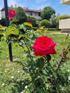 Zahrada ubytování Possidi Garden