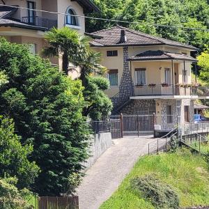 a house with a palm tree in front of it at Casa Eliana Mountain Lake Iseo Hospitality in Sovere +27 photos