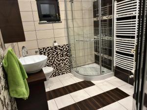 a bathroom with a shower and a toilet and a sink at Villa Sandra in Rude +18 photos