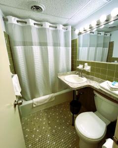 a bathroom with a toilet and a sink and a mirror at Landmark Motel in Wildwood