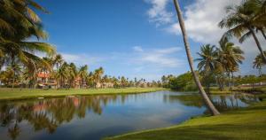 Gallery image of Park Royal Club Cala in Humacao