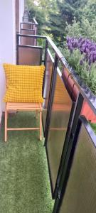 Zahrada ubytování Apartament Prowansalski