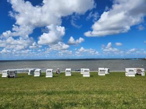 a row of chairs sitting on the grass near the water at Zimmer Leuchtturm in Dagebüll